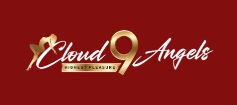 https://cloud9angels.nl/nl/